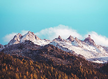 必发体育-林良锋：卡瓦尼造大逆转，奥莱必须回答两个问题